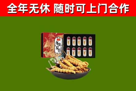 岳普湖回收冬虫夏草价格
